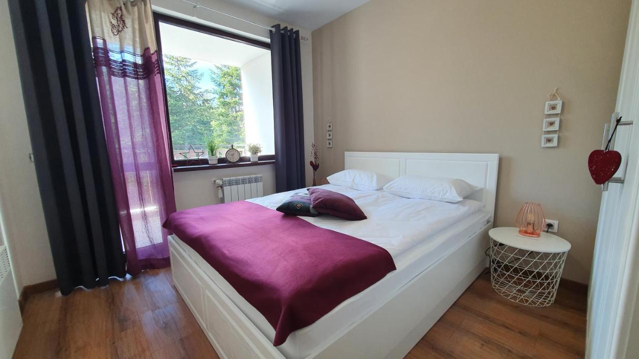 Borovets Holiday Homes Εξωτερικό φωτογραφία
