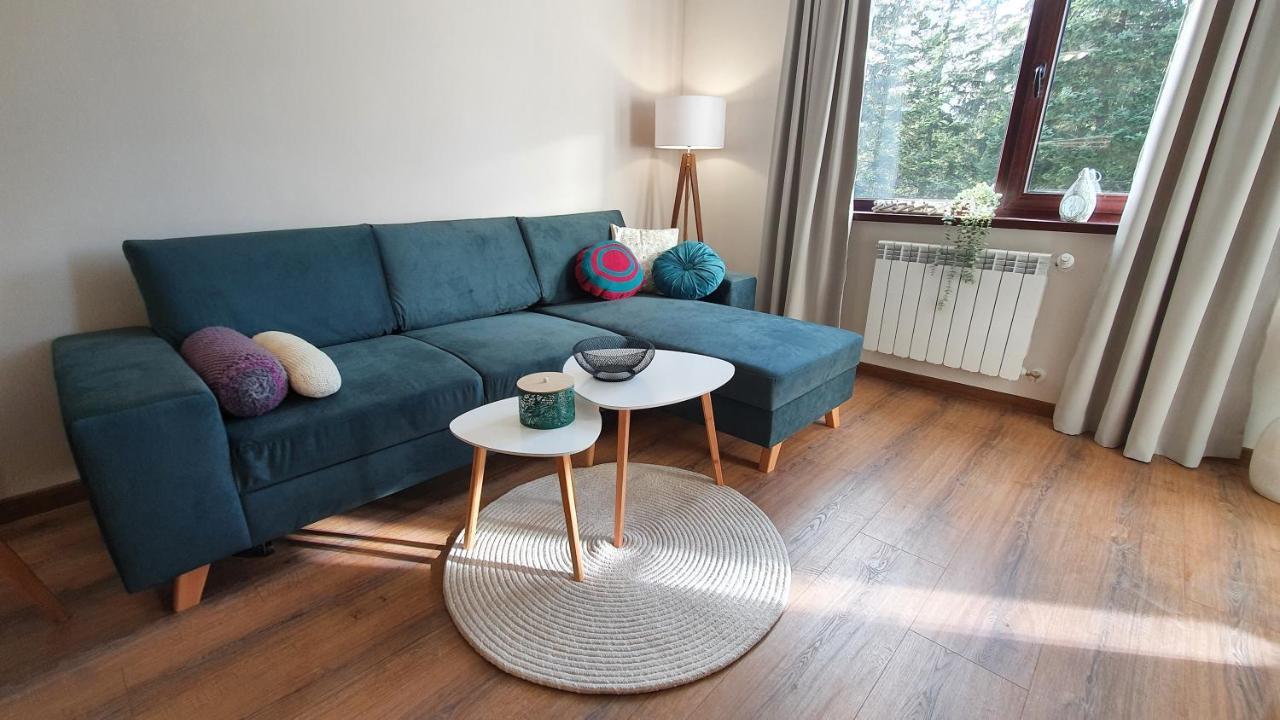 Borovets Holiday Homes Εξωτερικό φωτογραφία