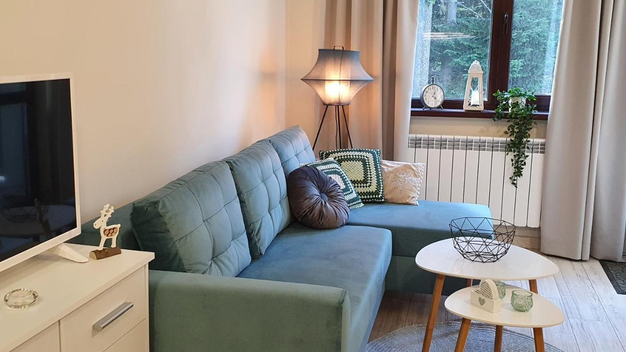 Borovets Holiday Homes Εξωτερικό φωτογραφία