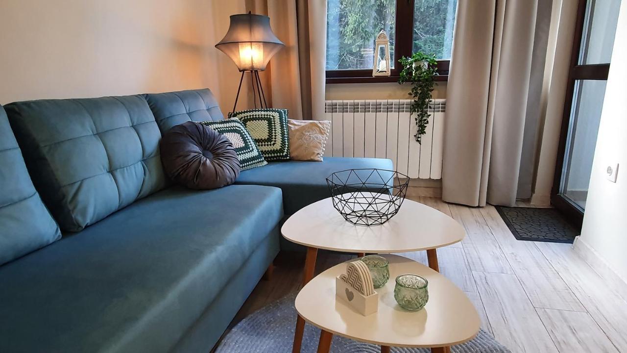 Borovets Holiday Homes Εξωτερικό φωτογραφία