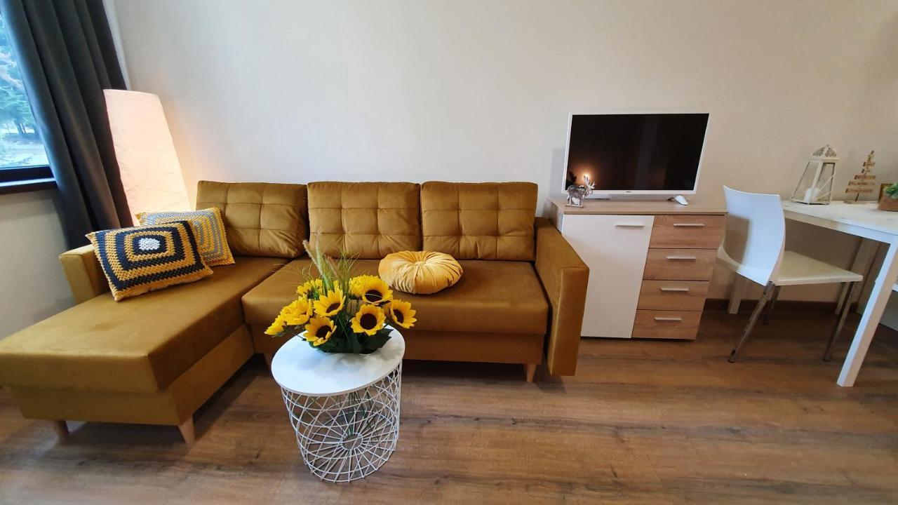 Borovets Holiday Homes Εξωτερικό φωτογραφία