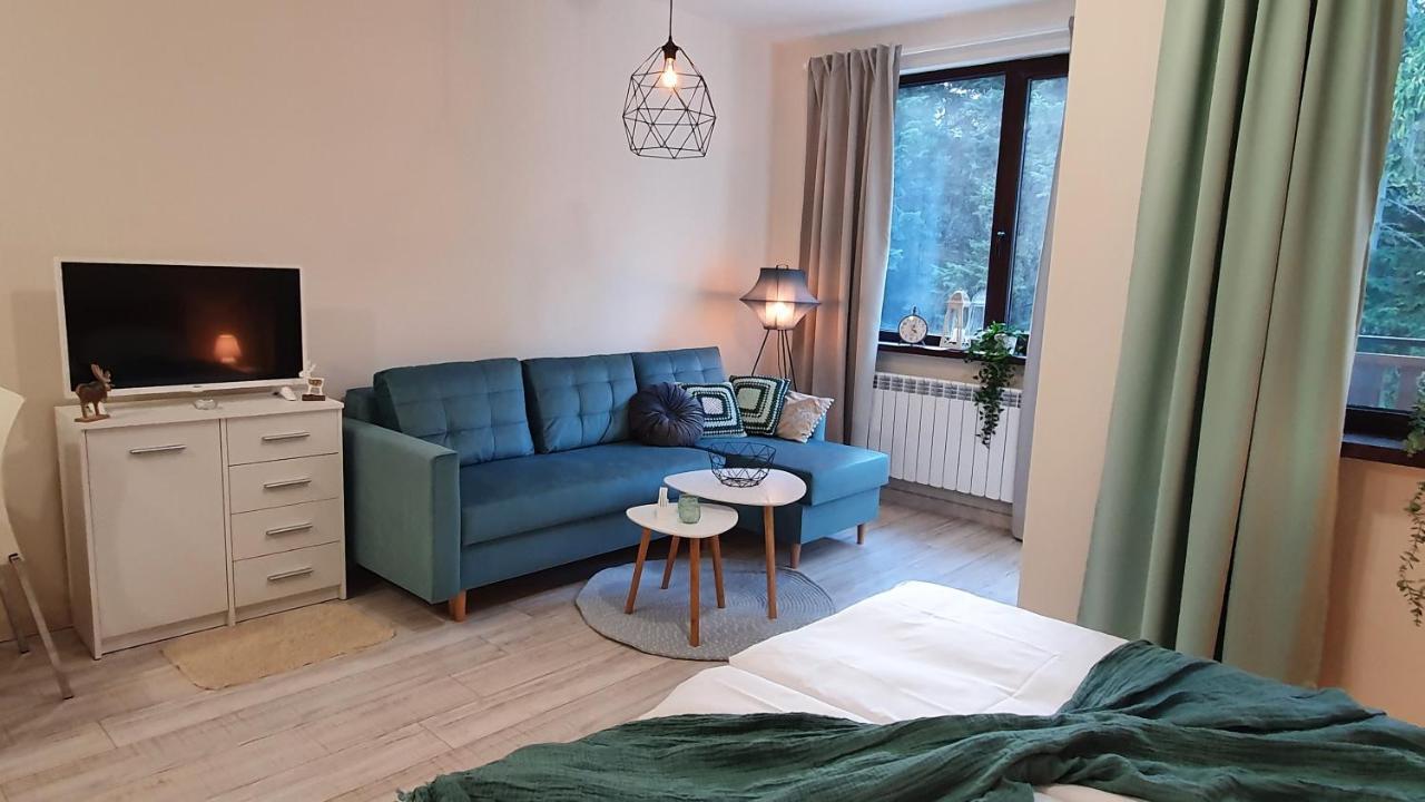 Borovets Holiday Homes Εξωτερικό φωτογραφία