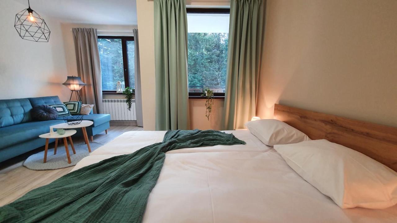 Borovets Holiday Homes Εξωτερικό φωτογραφία