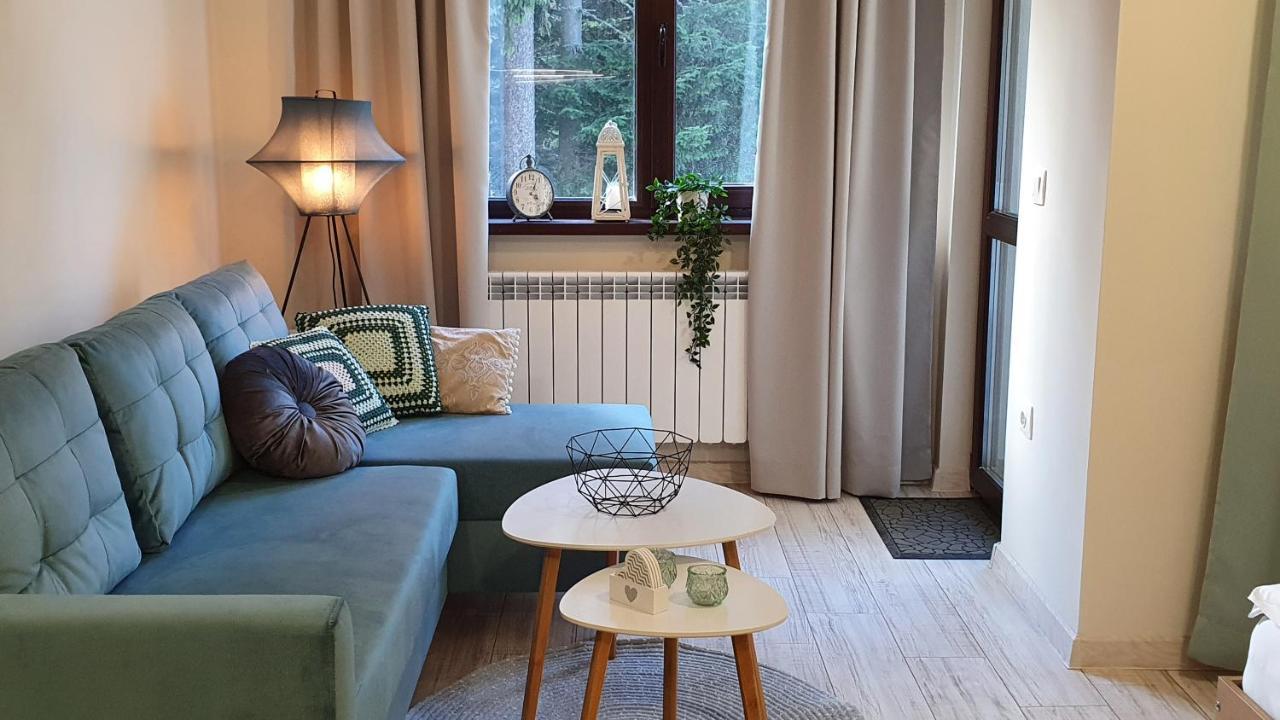 Borovets Holiday Homes Εξωτερικό φωτογραφία